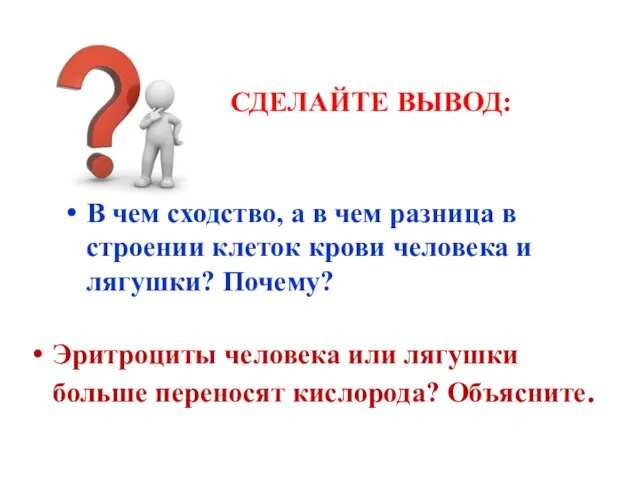 Эритроциты человека или лягушки больше переносят кислорода? Объясните. В чем