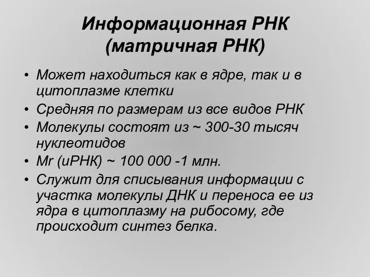 Информационная РНК (матричная РНК) Может находиться как в ядре, так