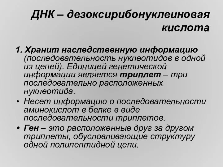 ДНК – дезоксирибонуклеиновая кислота 1. Хранит наследственную информацию (последовательность нуклеотидов