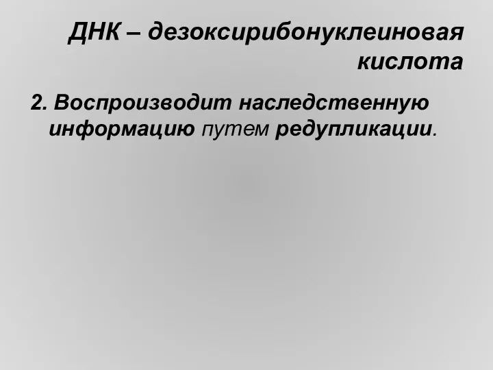 ДНК – дезоксирибонуклеиновая кислота 2. Воспроизводит наследственную информацию путем редупликации.