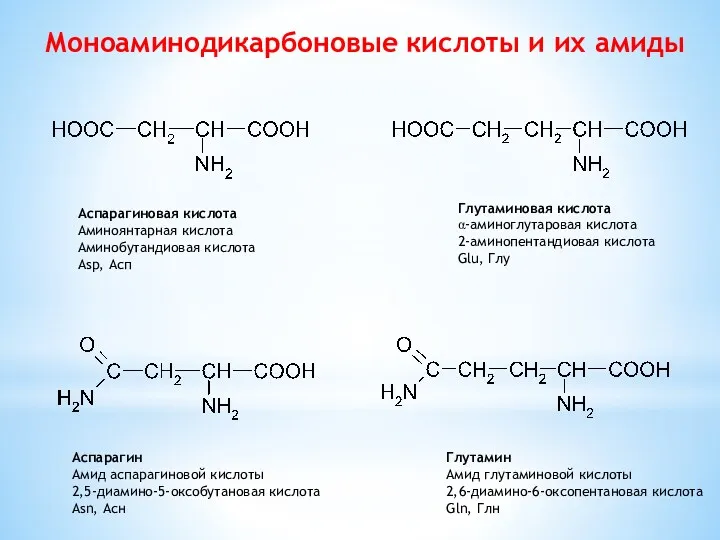 Моноаминодикарбоновые кислоты и их амиды Аспарагиновая кислота Аминоянтарная кислота Аминобутандиовая