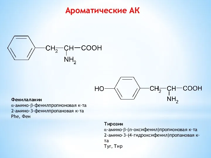Ароматические АК Фенилаланин α-амино-β-фенилпропионовая к-та 2-амино-3-фенилпропановая к-та Phe, Фен Тирозин α-амино-β-(п-оксифенил)пропионовая к-та 2-амино-3-(4-гидроксифенил)пропановая к-та Tyr, Тир