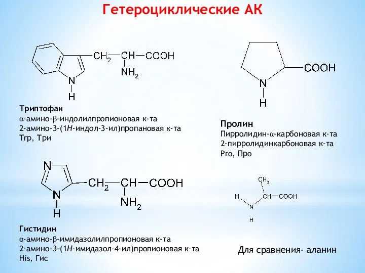 Гетероциклические АК Триптофан α-амино-β-индолилпропионовая к-та 2-амино-3-(1H-индол-3-ил)пропановая к-та Trp, Три Гистидин