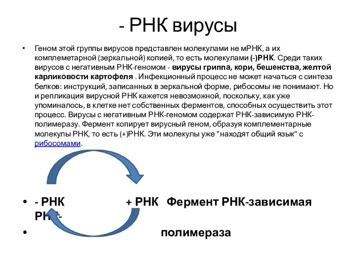 - РНК вирусы Геном этой группы вирусов представлен молекулами не