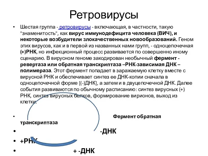 Ретровирусы Шестая группа - ретровирусы - включающая, в частности, такую