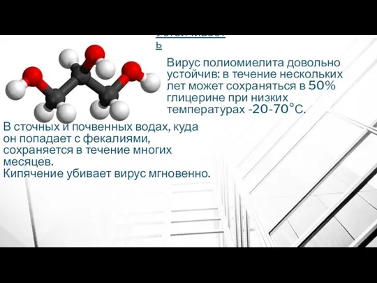 Устойчивость Вирус полиомиелита довольно устойчив: в течение нескольких лет может