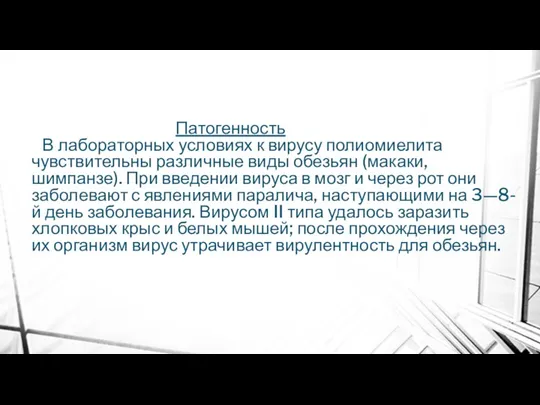 Патогенность В лабораторных условиях к вирусу полиомиелита чувствительны различные виды