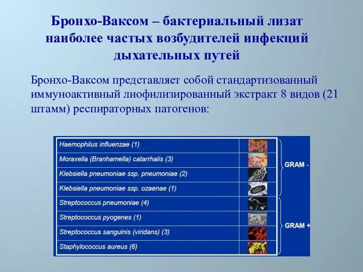 Бронхо-Ваксом – бактериальный лизат наиболее частых возбудителей инфекций дыхательных путей