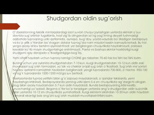 Shudgordan oldin sug’orish O`zbekistonning tekislik mintaqalardagi sizot suvlari chuqur joylashgan