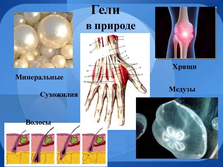 Гели в природе Хрящи Медузы Волосы Минеральные Сухожилия