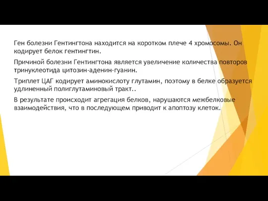 Ген болезни Гентингтона находится на коротком плече 4 хромосомы. Он