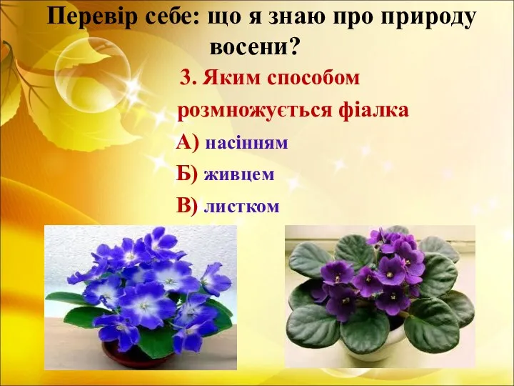 Перевір себе: що я знаю про природу восени? 3. Яким