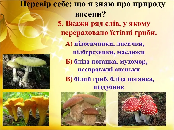 Перевір себе: що я знаю про природу восени? 5. Вкажи