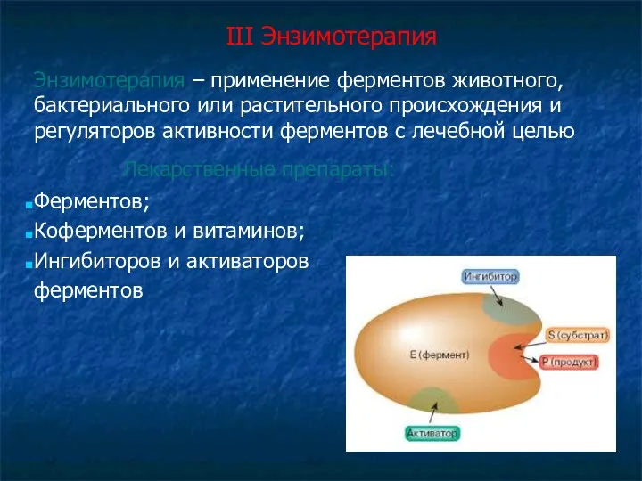 III Энзимотерапия Энзимотерапия – применение ферментов животного, бактериального или растительного