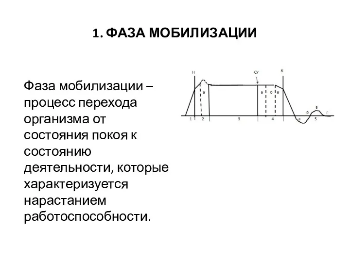 1. ФАЗА МОБИЛИЗАЦИИ Фаза мобилизации – процесс перехода организма от