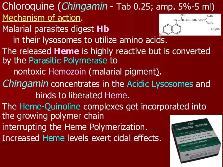 Chloroquine (Chingamin - Tab 0.25; amp. 5%-5 ml) Mechanism of action. Malarial parasites