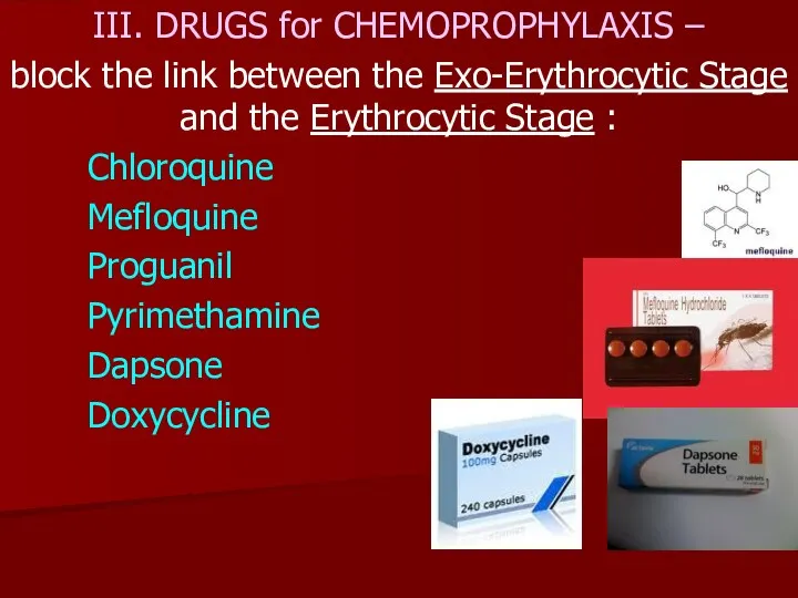 III. DRUGS for CHEMOPROPHYLAXIS – block the link between the Exo-Erythrocytic Stage and