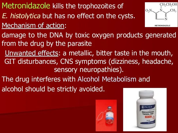 Metronidazole kills the trophozoites of E. histolytica but has no effect on the