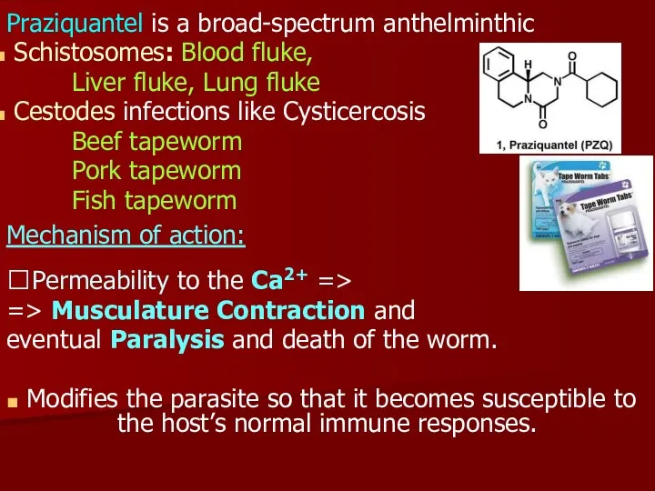 Praziquantel is a broad-spectrum anthelminthic Schistosomes: Blood fluke, Liver fluke, Lung fluke Cestodes