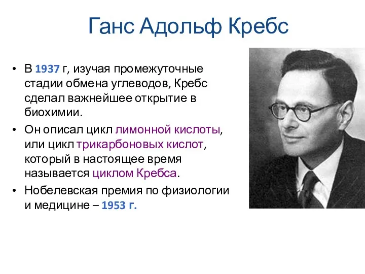 Ганс Адольф Кребс В 1937 г, изучая промежуточные стадии обмена