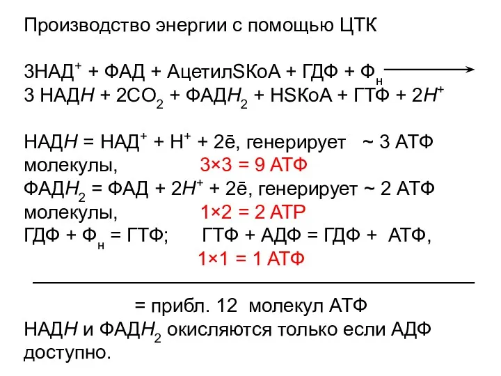 Производство энергии с помощью ЦТК 3НAД+ + ФAД + АцетилSКoA