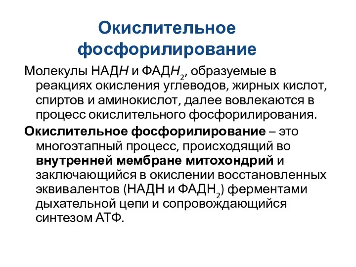 Окислительное фосфорилирование Молекулы НАДН и ФАДН2, образуемые в реакциях окисления