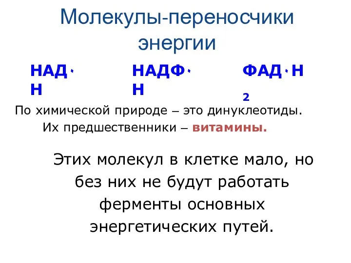 Молекулы-переносчики энергии По химической природе – это динуклеотиды. Их предшественники