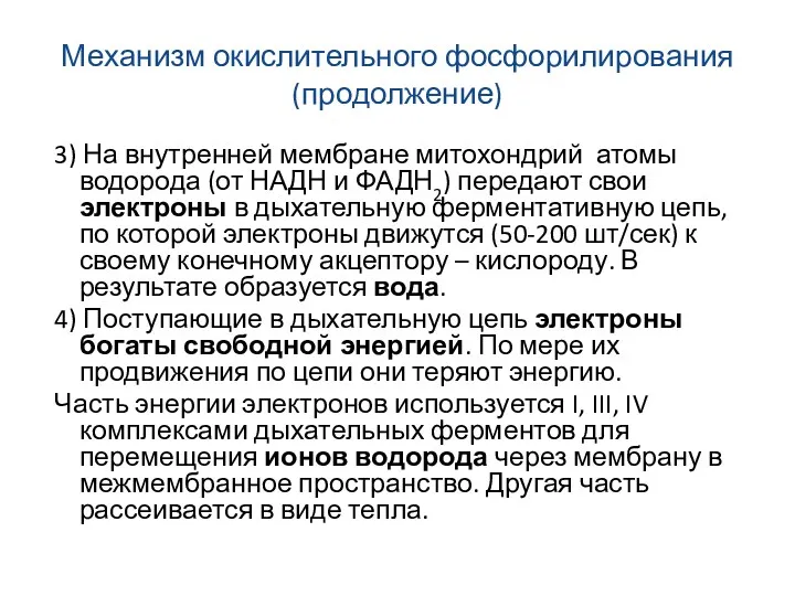 Механизм окислительного фосфорилирования (продолжение) 3) На внутренней мембране митохондрий атомы