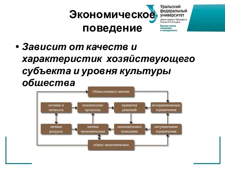 Экономическое поведение Зависит от качеств и характеристик хозяйствующего субъекта и уровня культуры общества