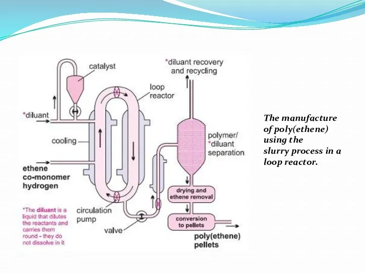 The manufacture of poly(ethene) using the slurry process in a loop reactor.