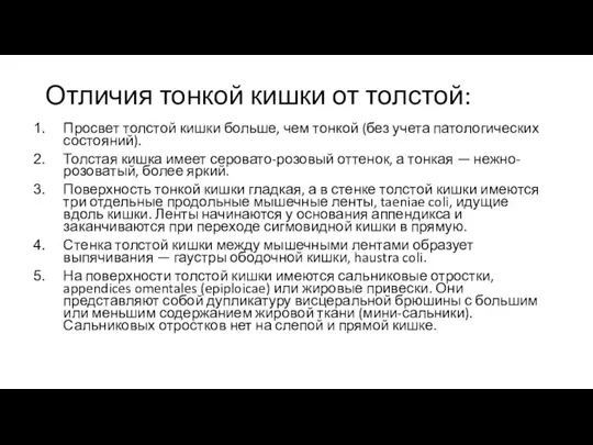 Отличия тонкой кишки от толстой: Просвет толстой кишки больше, чем