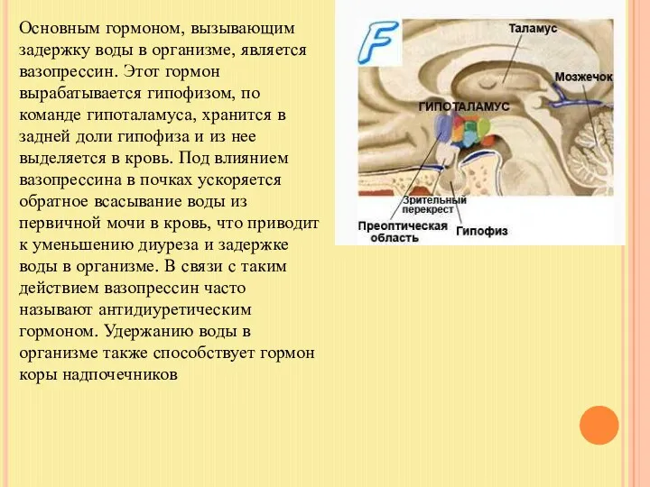 Основным гормоном, вызывающим задержку воды в организме, является вазопрессин. Этот гормон вырабатывается гипофизом,