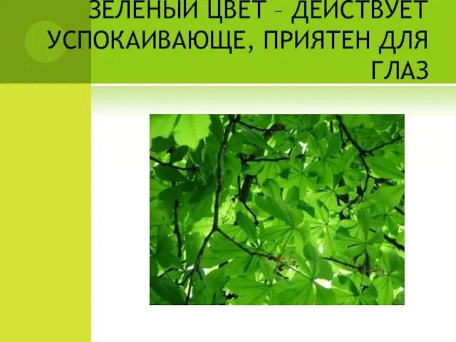 ЗЕЛЁНЫЙ ЦВЕТ – ДЕЙСТВУЕТ УСПОКАИВАЮЩЕ, ПРИЯТЕН ДЛЯ ГЛАЗ