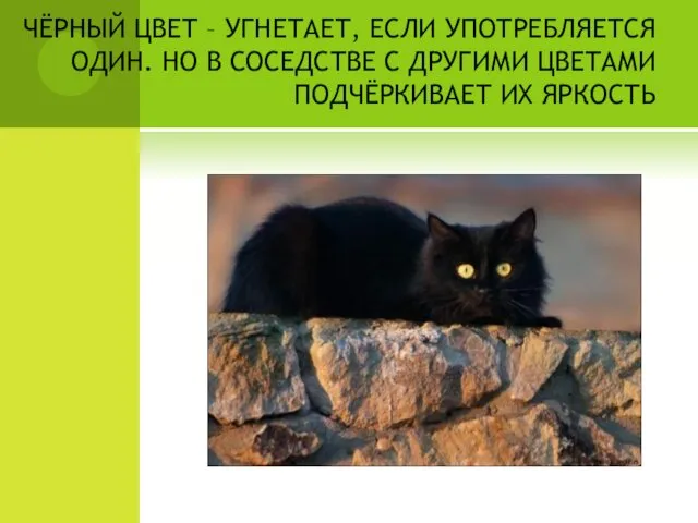 ЧЁРНЫЙ ЦВЕТ – УГНЕТАЕТ, ЕСЛИ УПОТРЕБЛЯЕТСЯ ОДИН. НО В СОСЕДСТВЕ С ДРУГИМИ ЦВЕТАМИ ПОДЧЁРКИВАЕТ ИХ ЯРКОСТЬ