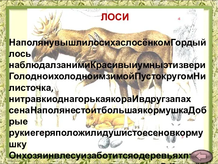 НаполянувышлилосихаслосёнкомГордыйлось наблюдалзанимиКрасивыиумныэтизвери ГолодноихолодноимзимойПустокругомНилисточка,нитравкиоднагорькаякораИвдругзапах сенаНаполянестоитбольшаякормушкаДобрые рукиегеряположилидушистоесеновкормушку Онхозяинвлесуизаботитсяодеревьяхптицахзверях. В.Карасёва ЛОСИ