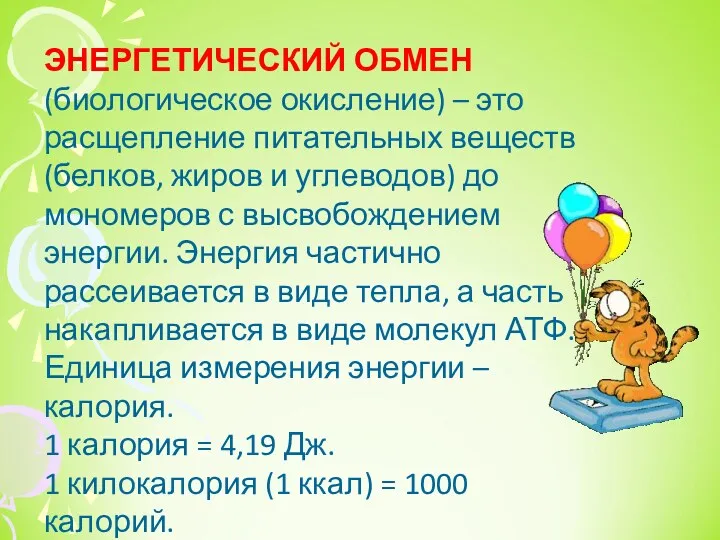 ЭНЕРГЕТИЧЕСКИЙ ОБМЕН (биологическое окисление) – это расщепление питательных веществ (белков,