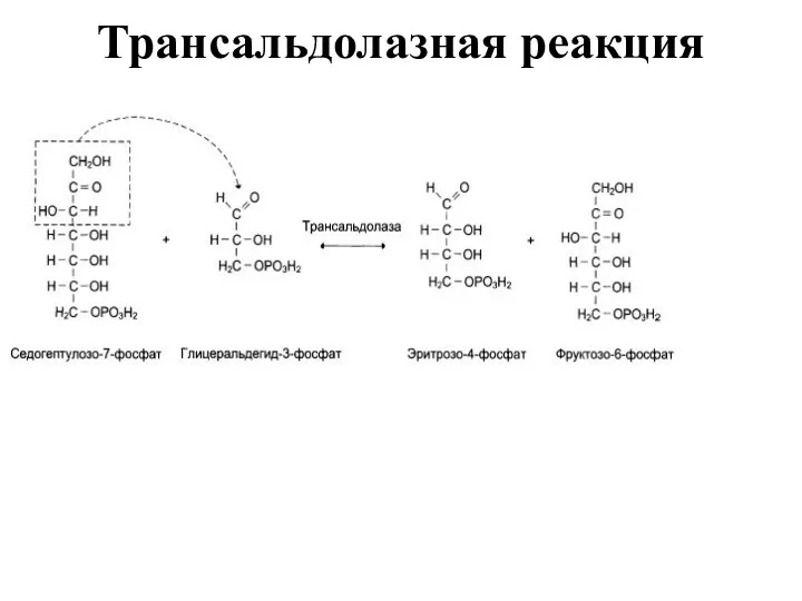 Трансальдолазная реакция