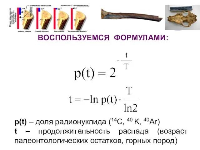 ВОСПОЛЬЗУЕМСЯ ФОРМУЛАМИ: p(t) – доля радионуклида (14C, 40 K, 40Ar)