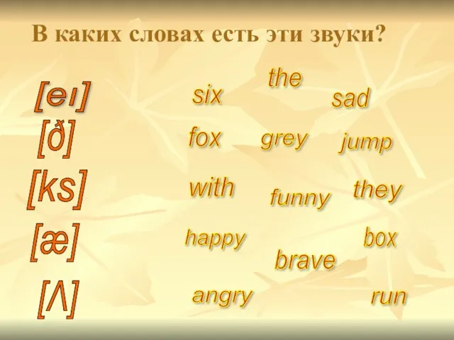 fox brave sad the run with grey angry happy six box funny they