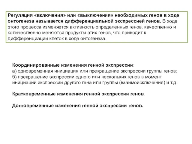 Регуляция «включения» или «выключения» необходимых генов в ходе онтогенеза называется
