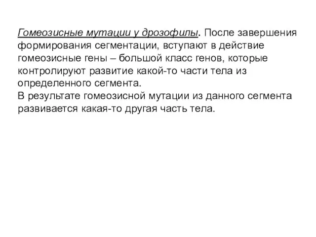 Гомеозисные мутации у дрозофилы. После завершения формирования сегментации, вступают в