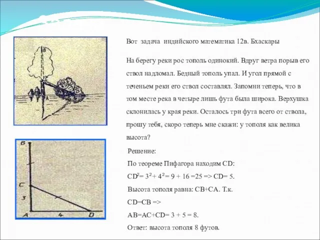Задача Вот задача индийского математика 12в. Бхаскары На берегу реки рос тополь одинокий.