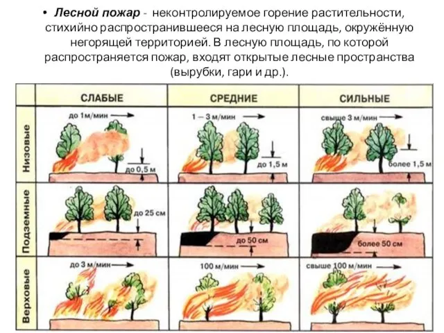 Лесной пожар - неконтролируемое горение растительности, стихийно распространившееся на лесную