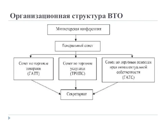 Организационная структура ВТО