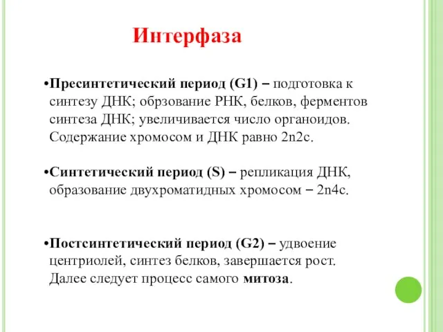 Интерфаза Пресинтетический период (G1) – подготовка к синтезу ДНК; обрзование