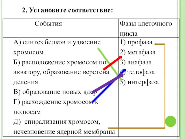 2. Установите соответствие: