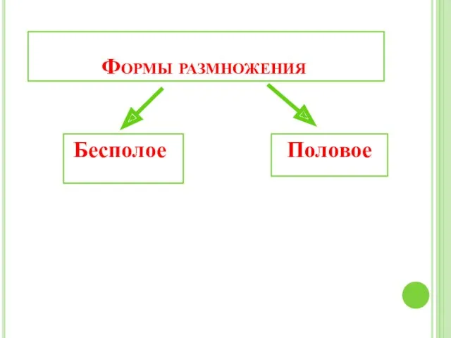 Бесполое Формы размножения Половое