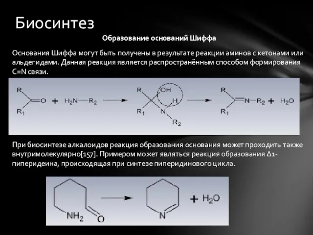 Образование оснований Шиффа Основания Шиффа могут быть получены в результате