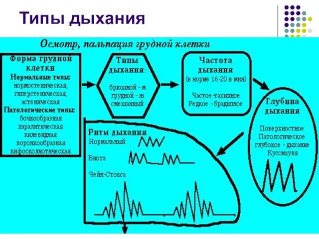 Типы дыхания