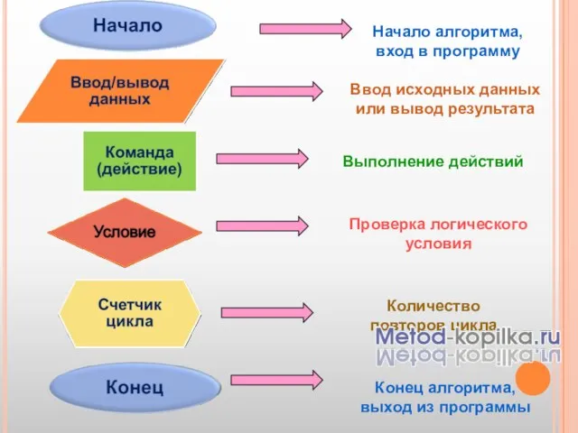 Начало алгоритма, вход в программу Конец алгоритма, выход из программы